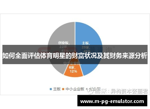 如何全面评估体育明星的财富状况及其财务来源分析