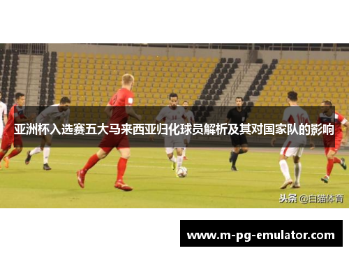 亚洲杯入选赛五大马来西亚归化球员解析及其对国家队的影响