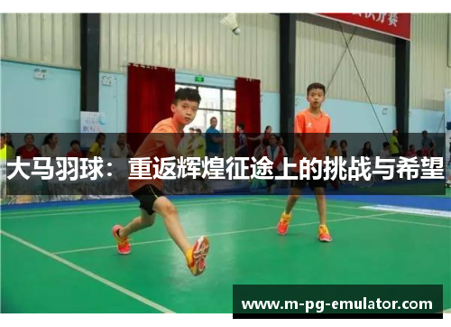 大马羽球：重返辉煌征途上的挑战与希望