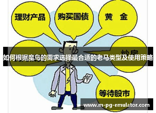 如何根据魔鸟的需求选择最合适的老马类型及使用策略