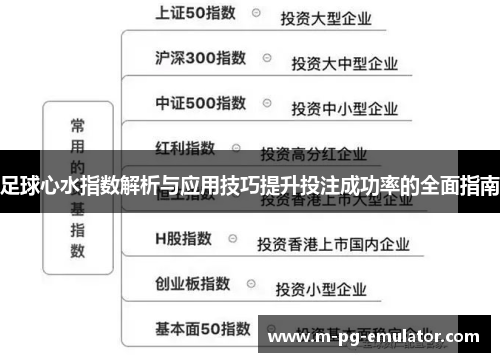 足球心水指数解析与应用技巧提升投注成功率的全面指南 足球心水指数解析与应用技巧提升投注成功率的全面指南