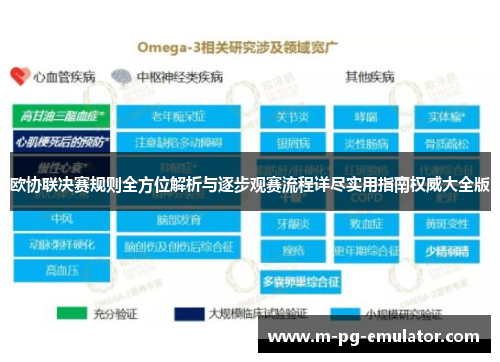 欧协联决赛规则全方位解析与逐步观赛流程详尽实用指南权威大全版