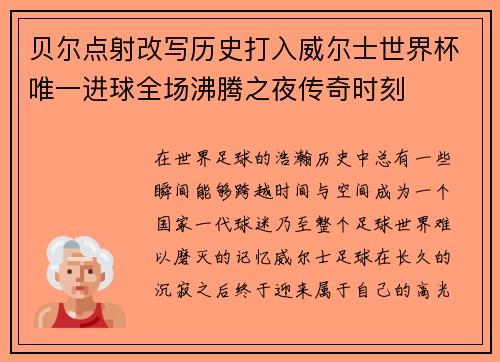 贝尔点射改写历史打入威尔士世界杯唯一进球全场沸腾之夜传奇时刻