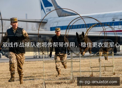 双线作战球队老将传帮带作用，稳住更衣室军心